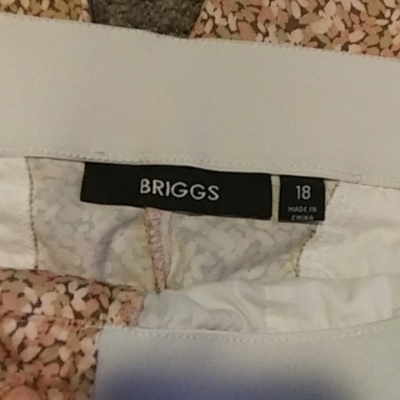 Briggs Capris - Picture 3 of 9